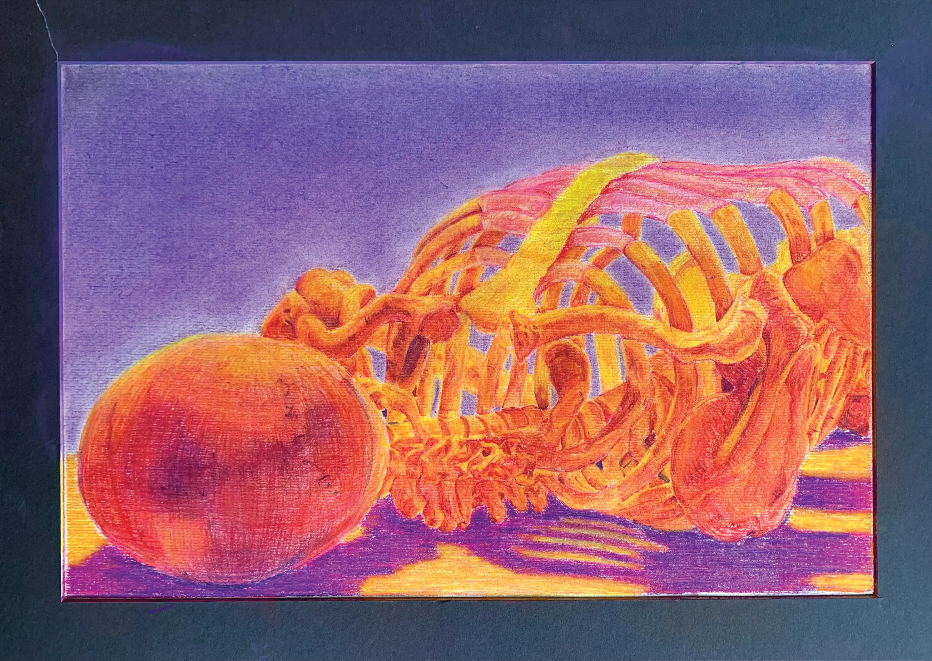 Drawing of a skeleton in coloured pencil