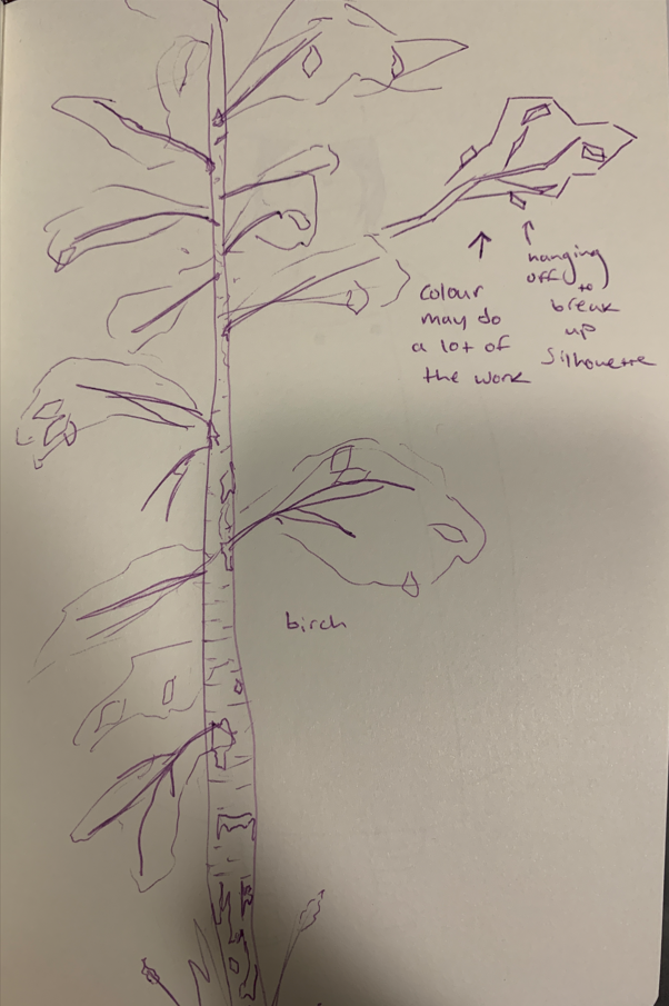 Sketches of birch tree from site visit for ParkVR